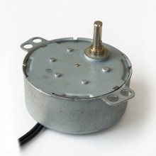 50 TYZ 10/12 RPM Motor