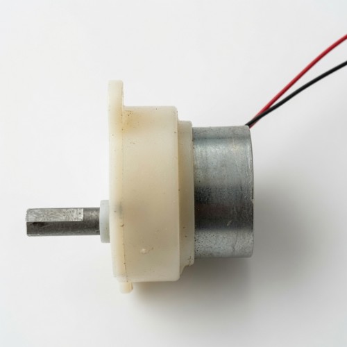 50 TYZ 10/12 RPM Motor 50 TYZ 10/12 RPM Motor