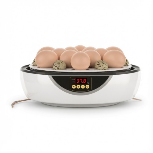 Kuluçka Makinesi 48 Bıldırcın Yumurtası
