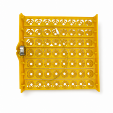 56 Tavuk Yumurtası Viyol