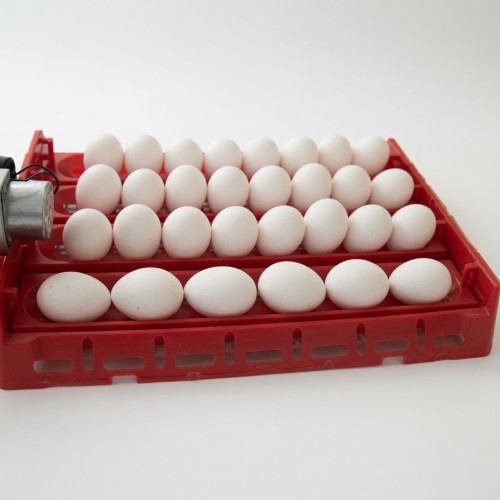EFE 60 Lık Kuluçka Makinesi