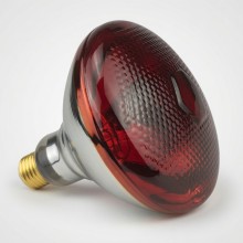 250 Watt İnfrared Isıtıcı Lamba