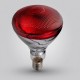250 Watt İnfrared Isıtıcı Lamba 250 Watt İnfrared Isıtıcı Lamba