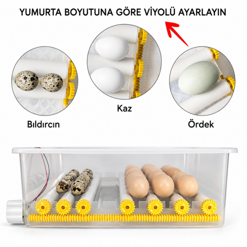 Kaz Kuluçka Makinesi 36 Kaz Kuluçka Makinesi 36