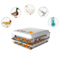 Hobi Kaz Kuluçka Makinesi