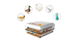 Kuluçka Makinesi Yapmak İstiyorum