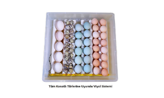 Kuluçka Makinesi Ördek Yumurtası Modelleri