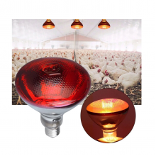 175 Watt İnfrared Isıtıcı Lamba