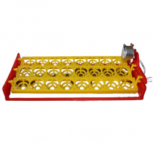 24 Tavuk Yumurta Viyolleri