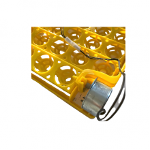 24 Tavuk Yumurta Kare Viyolu