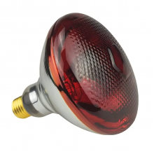 250 Watt İnfrared Isıtıcı Lamba