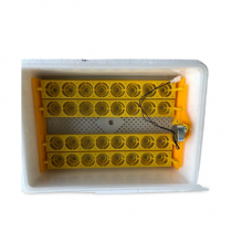 Kuluçka Makinesi 32 Tavuk