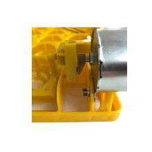 35 Ördek Yumurta Viyolu 