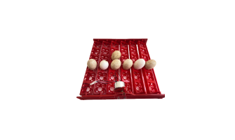 Yumurta Viyol Modelleri neye göre seçilmelidir?