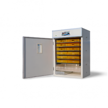 384 Kaz Kuluçka Makinesi