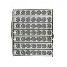 49 Tavuk Yumurtası Viyolu