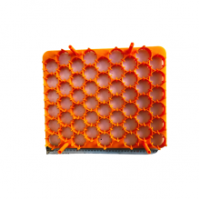 54 Tavuk Yumurta Viyolü