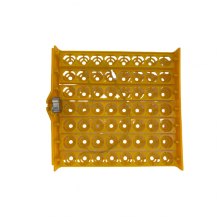 56 Tavuk Yumurtası Viyol