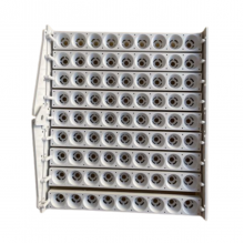 81 Tavuk Yumurtası Viyolu