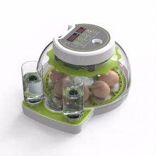 Mini Kuluçka Makinesi 8 Tavuk Yumurta