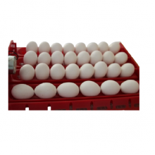 Kuluckacenter 60 Lık Kuluçka Makinesi