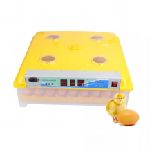 Kuluckacenter 98 Tavuk Kuluçka Makinesi