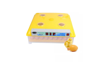 Ördek Kuluçka Makinesi