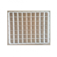 Hindi Yumurtası Viyolü