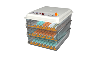 Kaz Kuluçka Makinesi 3 Katlı