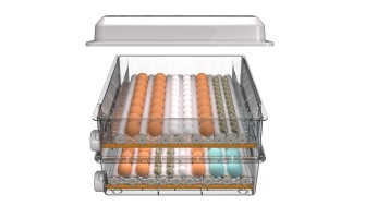 Tavus Kuşu Kuluçka Makinesi