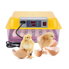 Kuluçka Makinesi 110 Bıldırcın