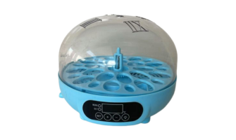 Sultan Papağan Yumurtası Kuluçka Makinesi