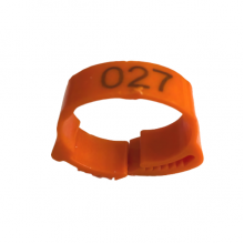 Numaralı Kaz Ayak Bileziği