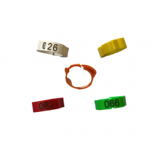 Numaralı Kaz Ayak Bileziği