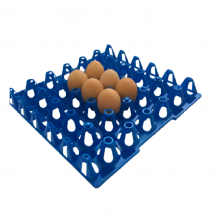 Ördek Yumurtası Taşıma Viyolu