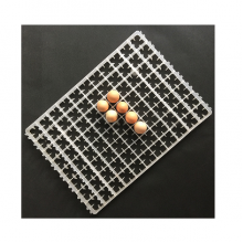 Tavuk Yumurtası Viyolü