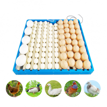 Otomatik Yumurta Çevirme Sistemi